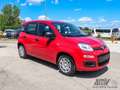 Fiat Panda 1.0 FireFly S&S Hybrid PREZZO REALE Rosso - thumbnail 3
