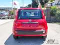 Fiat Panda 1.0 FireFly S&S Hybrid PREZZO REALE Rosso - thumbnail 5