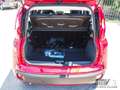 Fiat Panda 1.0 FireFly S&S Hybrid PREZZO REALE Rosso - thumbnail 11