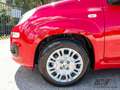 Fiat Panda 1.0 FireFly S&S Hybrid PREZZO REALE Rosso - thumbnail 13