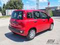 Fiat Panda 1.0 FireFly S&S Hybrid PREZZO REALE Rosso - thumbnail 4