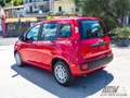 Fiat Panda 1.0 FireFly S&S Hybrid PREZZO REALE Rosso - thumbnail 6