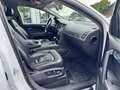 Audi Q7 3.0 TDI quattro PanoramaSD+7-Sitzer+Leder+20 Zoll Weiß - thumbnail 8