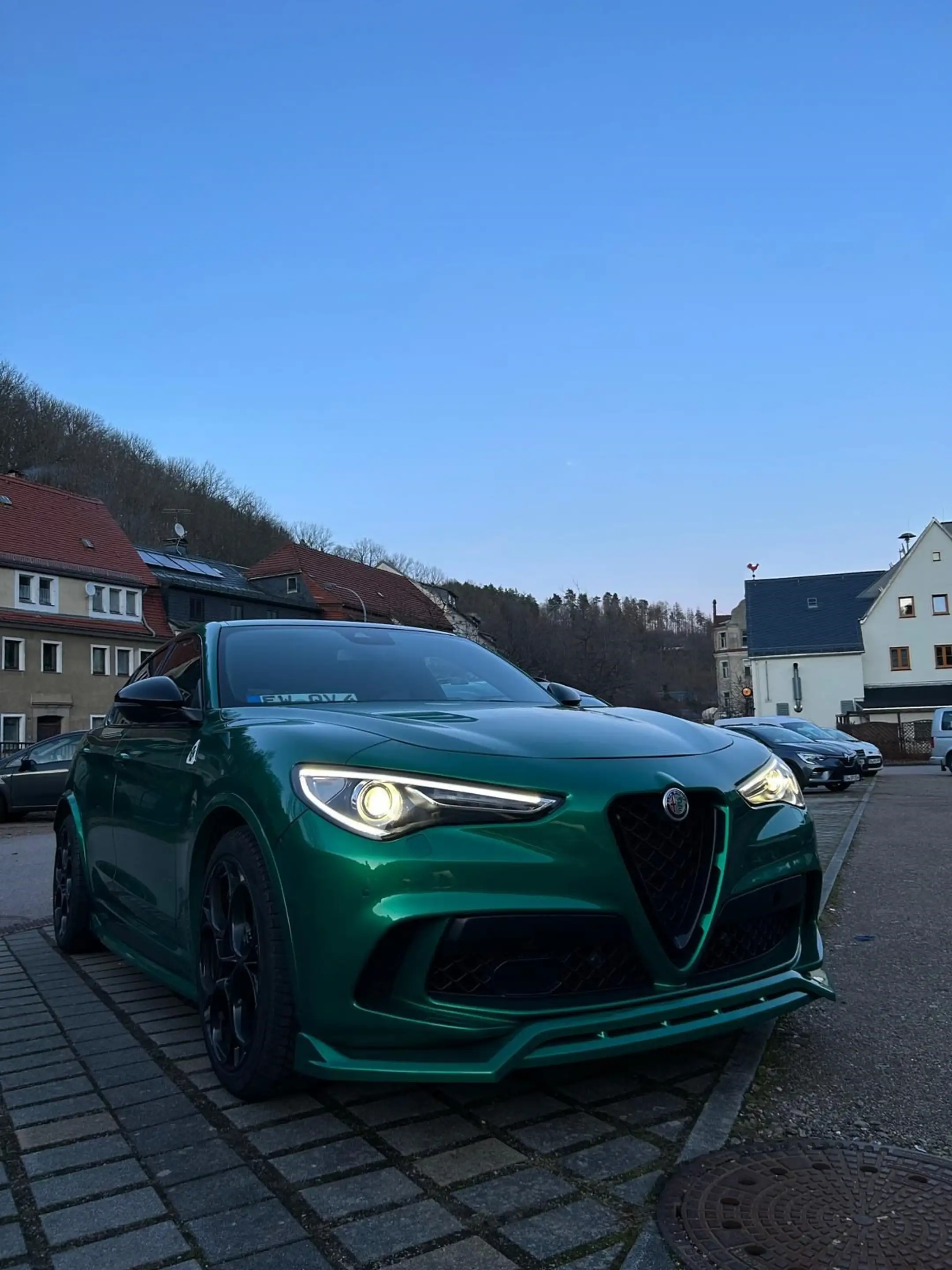 Alfa Romeo Stelvio Quadrifoglio Q4 — photo 2