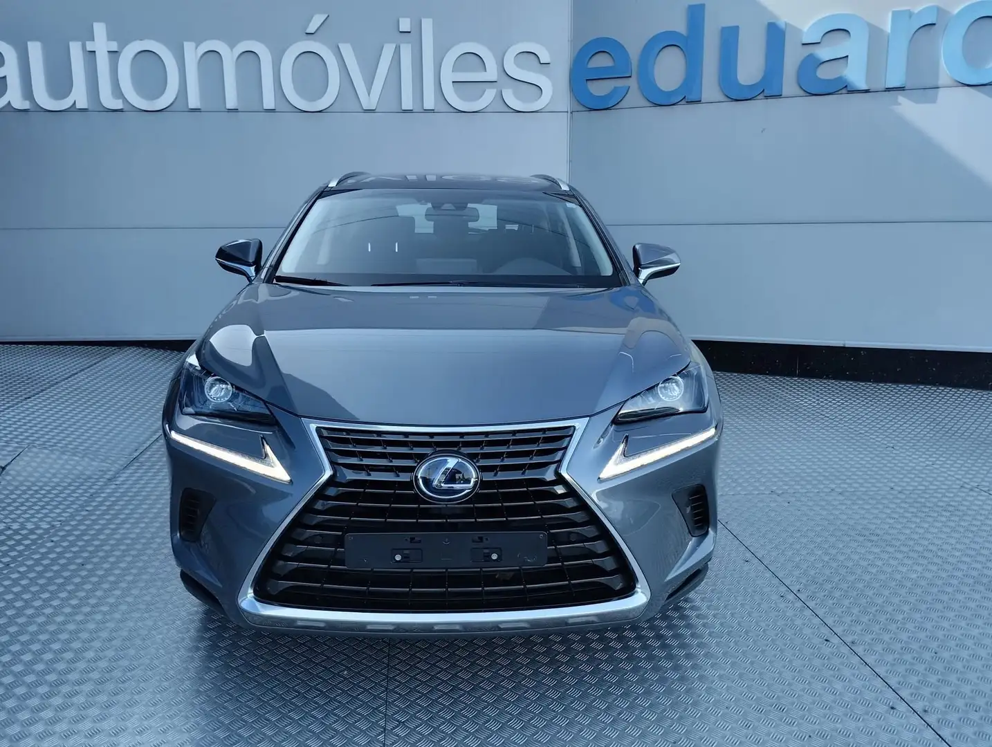 Lexus NX 300h 2.5 Business 2WD Gris - 2