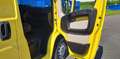 Fiat Ducato 35 2.3 Multijet (130cv)PC-TN Giallo - thumbnail 12