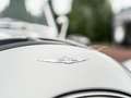 Morgan Supersport Beige - thumbnail 40