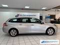 Peugeot 308 SW Business-Line 1.6 BlueHDi 120 FAP 2-Zonen-Klima Gris - thumbnail 6