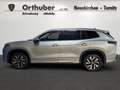 Volkswagen Tayron Friends eTSI DSG Silber - thumbnail 6