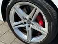 Audi S5 Cabriolet *DEUTSCH* Virtual Carbon ACC Keyless MMI Weiß - thumbnail 15