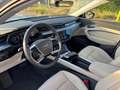 Audi e-tron e-tron 55 quattro Zilver - thumbnail 9