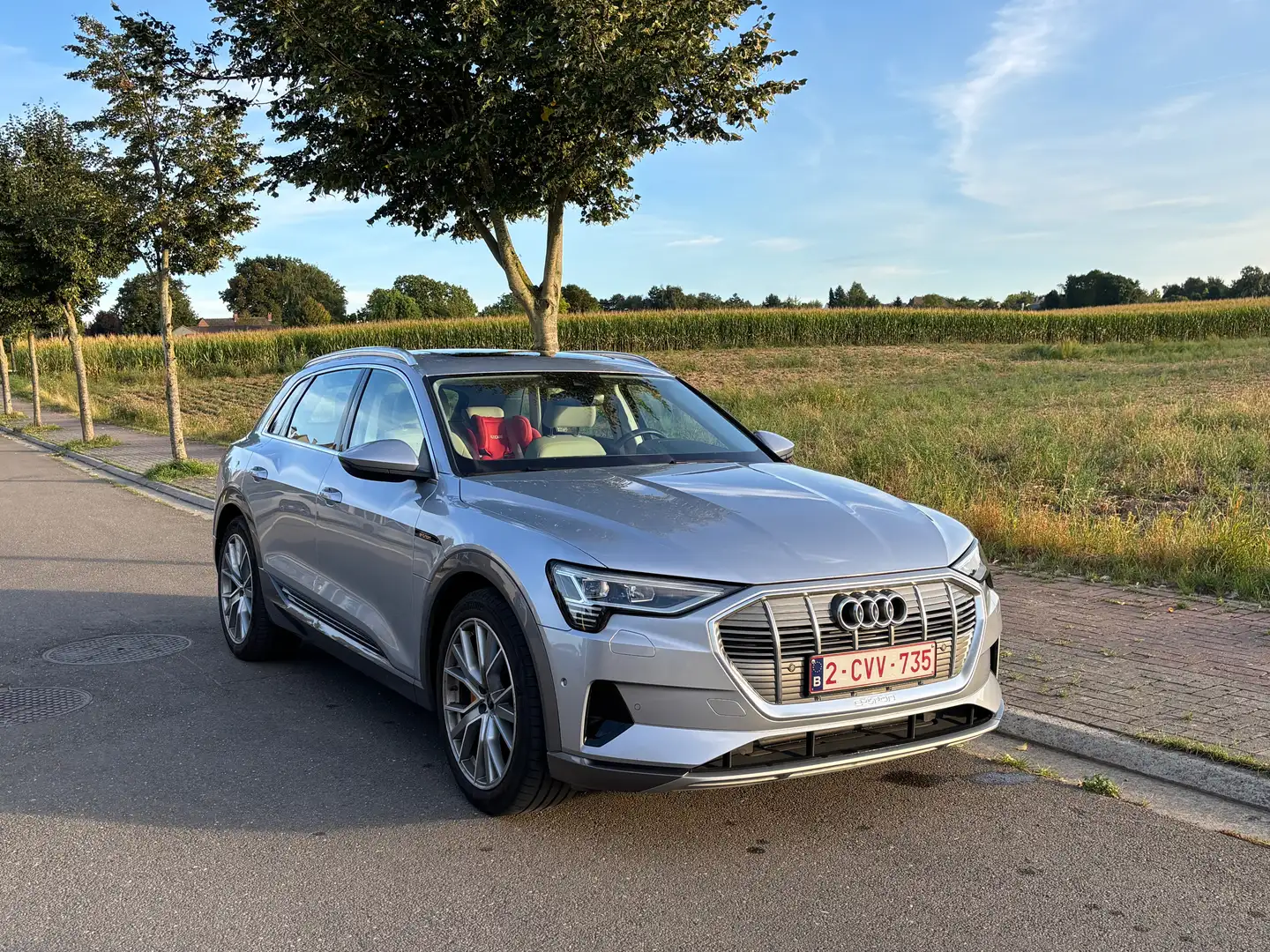 Audi e-tron e-tron 55 quattro Zilver - 1