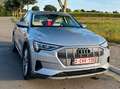 Audi e-tron e-tron 55 quattro Zilver - thumbnail 5