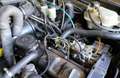 Volkswagen Iltis Grün - thumbnail 8