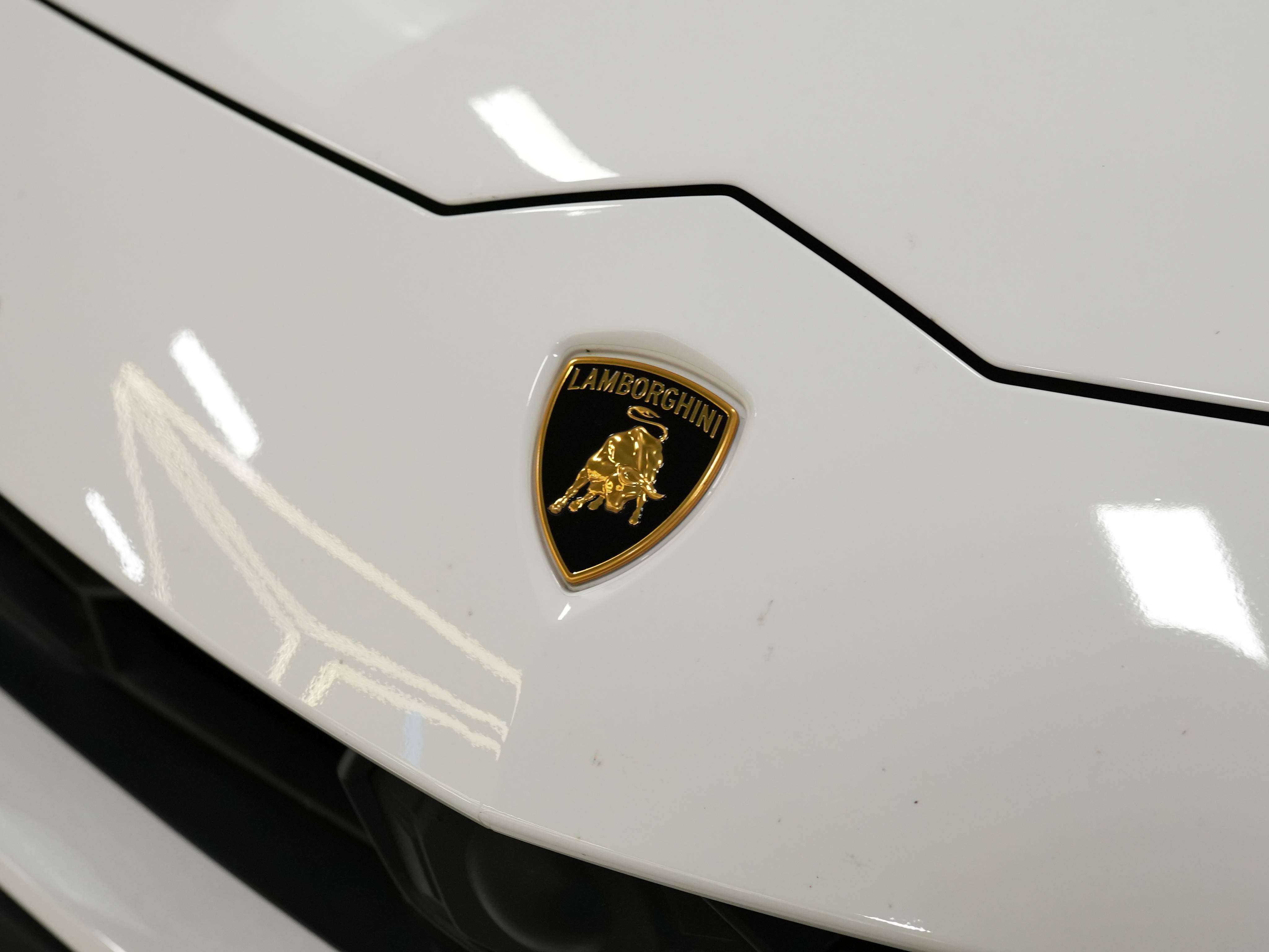 used 2019 Lamborghini Urus car, priced at $196,900