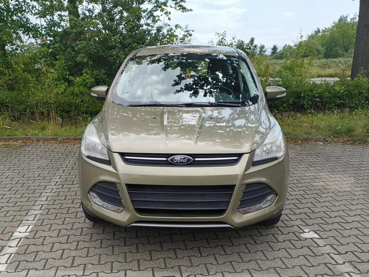 Ford Kuga Kuga 1.6 EcoBoost 2x4 Titanium - 2