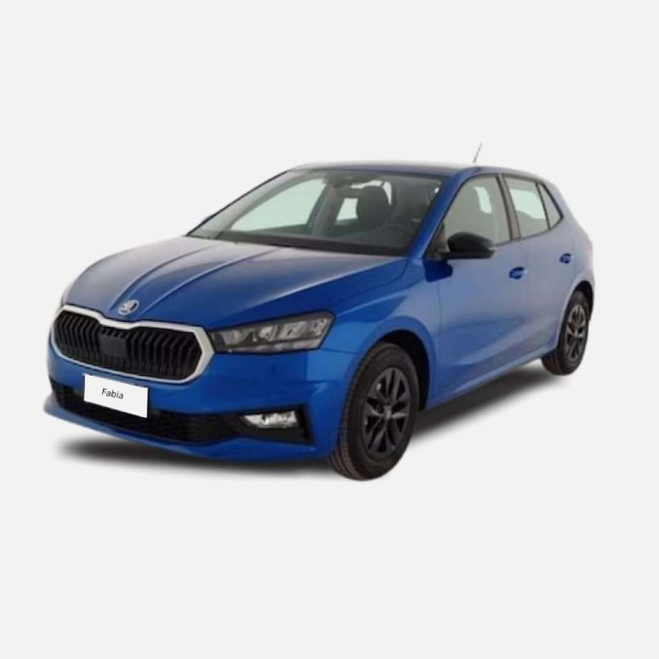Skoda Fabia 1.0 MPI 80 CV Monte Carlo