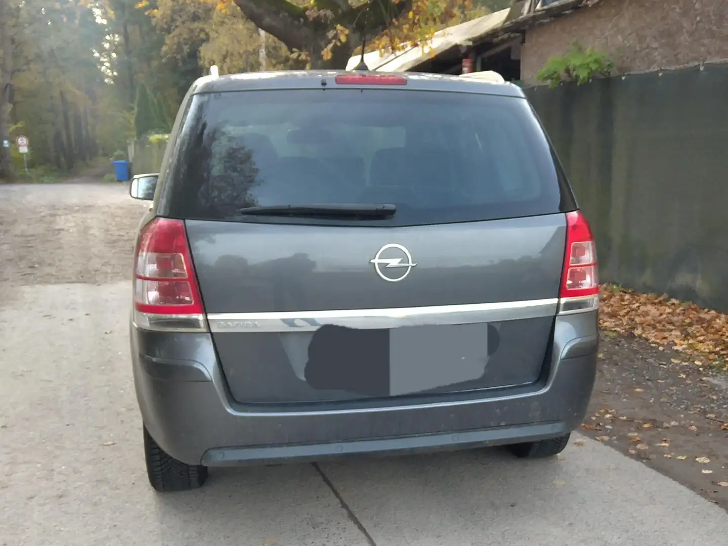 Opel Zafira Family Plus Gris - 2