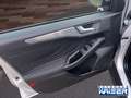 Ford Focus Titanium LED ACC SHZ LenkradHZG Kamera Silber - thumbnail 25