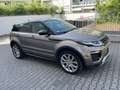 Land Rover Range Rover Evoque SE Dynamic Braun - thumbnail 3