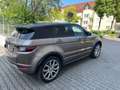 Land Rover Range Rover Evoque SE Dynamic Braun - thumbnail 5