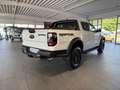 Ford Ranger Raptor DOPPELKABINE 3.0L 292PS V6 Automatik Blanc - thumbnail 5