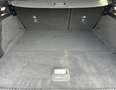 Ford Focus SW 1.0t ecoboost h ST-Line X 125cv “PREZZO REALE Blau - thumbnail 17