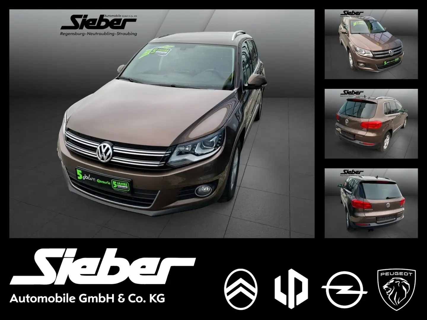 Volkswagen Tiguan 1.4 TSI BMT Cup Sport & Style **PDC** Braun - 1