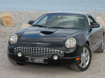 4.0 L V8 256 ch