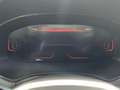 SEAT Arona 1.0 TSI S&S X-perience DSG7 115 Gris - thumbnail 16