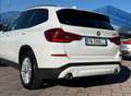 BMW X3 X3 G01  xdrive20d Business Advantage 190cv auto Bianco - thumbnail 10