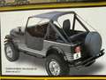 Jeep CJ-5 Schwarz - thumbnail 9
