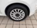 Fiat 500 Dolcevita Weiß - thumbnail 6