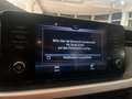 Skoda Scala 1.0 DSG ACC CARPLAY BT LED PARK SHZ DAB Grau - thumbnail 26