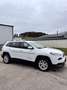 Jeep Cherokee 2,2 MultiJet II AWD Longitude Business Aut. Weiß - thumbnail 10