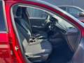Opel Corsa F Elegance (AUTOMATIK/SHZ/KLIMA/PDC/SPUR Rosso - thumbnail 13