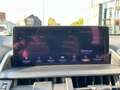 Lexus NX 300h F-SPORT Line Plus Rood - thumbnail 18