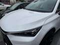BYD Tang FLAGSHIP EV 517 CV Bianco - thumbnail 9