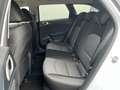 Kia Ceed SW / cee'd SW CEEDSW SILBER UVO 1.0 TGDI MT6 100 LP. € 26.040,00 Weiß - thumbnail 9