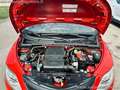 Lancia Ypsilon 1.2 69 CV 5 porte GPL Ecochic Elefantino Blu Rojo - thumbnail 22