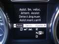 Mercedes-Benz ML 320 350 bluetec Alb - thumbnail 20