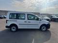Volkswagen Caddy Kombi 2,0 TDI 4MOTION Weiß - thumbnail 8