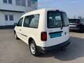Volkswagen Caddy Kombi 2,0 TDI 4MOTION Weiß - thumbnail 4