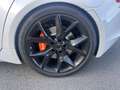 Karma Revero Blanc - thumbnail 23