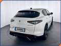 Alfa Romeo Stelvio Stelvio 2.2 Turbodiesel 210 CV AT8 Q4 Veloce Blanc - thumbnail 6