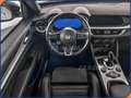 Alfa Romeo Stelvio Stelvio 2.2 Turbodiesel 210 CV AT8 Q4 Veloce Blanc - thumbnail 10