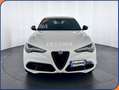 Alfa Romeo Stelvio Stelvio 2.2 Turbodiesel 210 CV AT8 Q4 Veloce Blanc - thumbnail 2