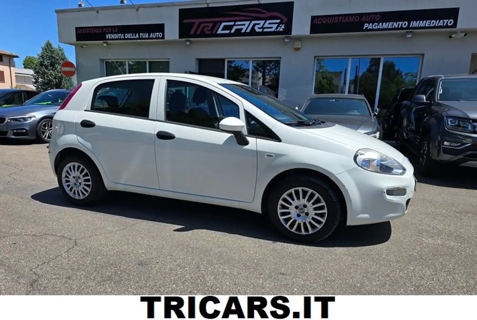 Fiat Punto 1.2 5 porte EURO6 NEOPATENTATI PERMUTE Bianco - 1