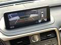 Lexus RX 450h RX450h/LUXURY/AWD/360/ACC/Key/Sitzbelüf/LED/Memo Schwarz - thumbnail 17