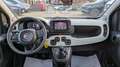 Fiat Pandina PANDINA CROSS HYBRID 1.0cc 70cv Vert - thumbnail 7